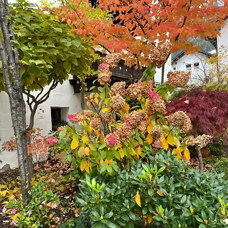Am Dorfbrunnen Apartmán *